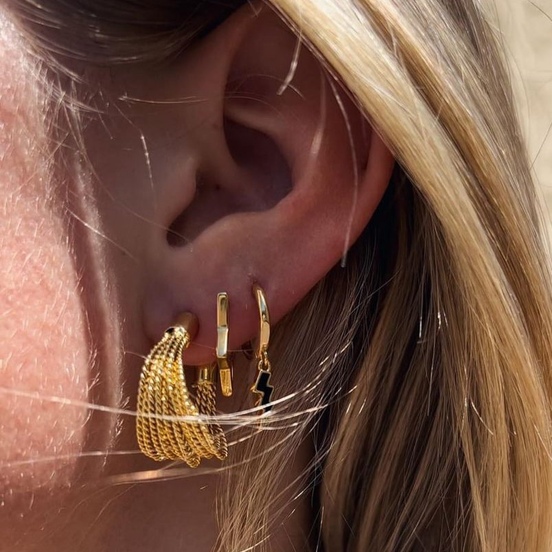 Fame Gold Plated SS 925 Earrings-