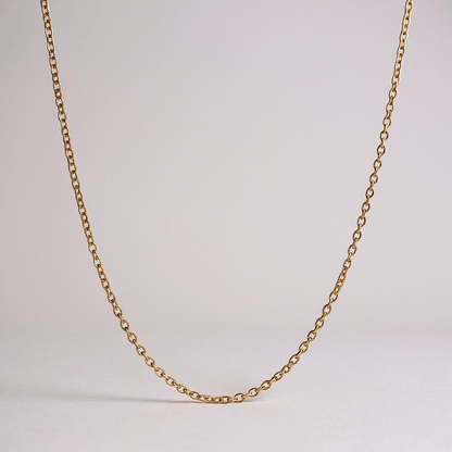 14k Gold Plated Fine Chain Necklace - 