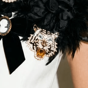 Roar Rhinestones Brooch-Brooch