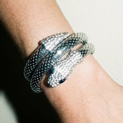 Snake Charmer Silver Bracelet - Bracelet