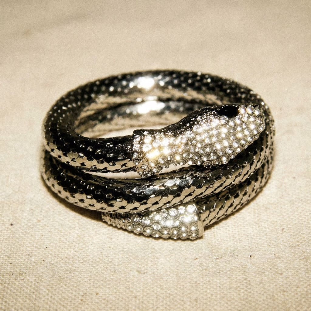 Snake Charmer Silver Bracelet - Bracelet